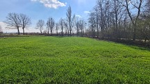 Nieruchomo�ci Bielsko-Bia�a �adna dzia�ka w cichej okolicy 