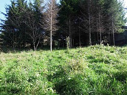 Nieruchomoci Bielsko-Biaa Dziaka budowlana, cicha i spokojna okolica 