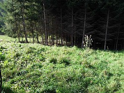 Nieruchomoci Bielsko-Biaa Dziaka budowlana, cicha i spokojna okolica 