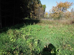 Nieruchomoci Bielsko-Biaa Dziaka budowlana, cicha i spokojna okolica 