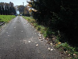 Nieruchomoci Bielsko-Biaa Dziaka budowlana, cicha i spokojna okolica 