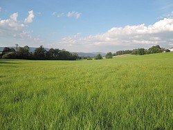 Nieruchomoci Bielsko-Biaa do sprzedania z piknymi widokami dziaka budowlana, 