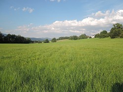 Nieruchomoci Bielsko-Biaa do sprzedania z piknymi widokami dziaka budowlana, 