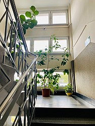 Nieruchomoci Bielsko-Biaa Do wyboru biuro blisko Centrum, Super cena - 17m2 lub 34 m2
