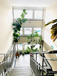 Nieruchomoci Bielsko-Biaa Do wyboru biuro blisko Centrum, Super cena - 17m2 lub 34 m2