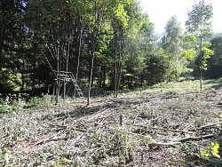 Nieruchomoci Bielsko-Biaa Do sprzedania przy szlaku na Chrobacz k, przy lesie, dziaka budowlano - usugowa