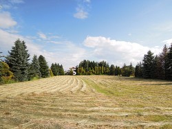 Nieruchomoci Bielsko-Biaa Solidny dom z moliwoci podziau na 2 mieszkania + dua dziaka idealna jako lokata kapitau 