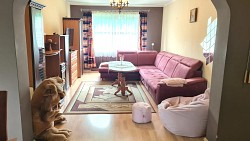 Nieruchomo�ci Bielsko-Bia�a Niezale�na po�owa domu, du�a dzia�ka 