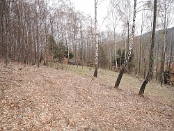 Nieruchomości Bielsko-Biała Do sprzedania działka rolna, w terenie leśnym, niedaleko centrum