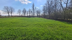 Nieruchomo�ci Bielsko-Bia�a �adna dzia�ka w cichej okolicy 
